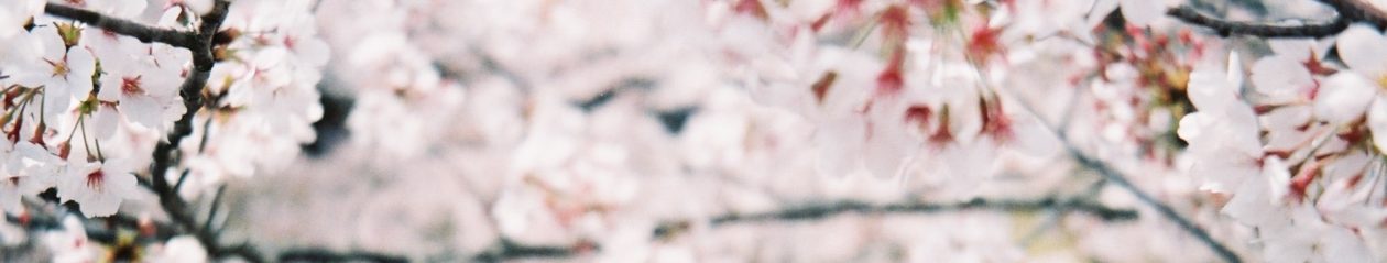 しゅみツアコン